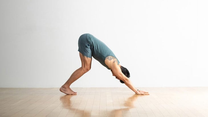 Downward-Facing Dog Pose