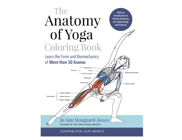 Cover of The Anatomy of Yoga Coloring Book. Illustration of a body doing Side Angle Pose