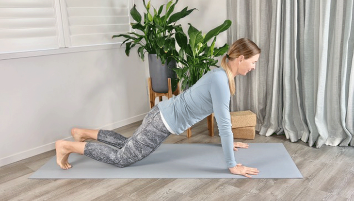 Woman practicing Plank Pose with her knees down