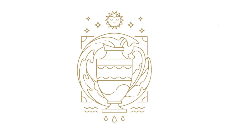 Aquarius zodiac sign
