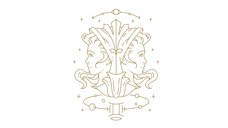 Gemini illustration