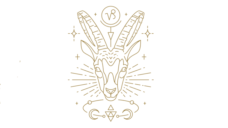 Capricorn zodiac sign